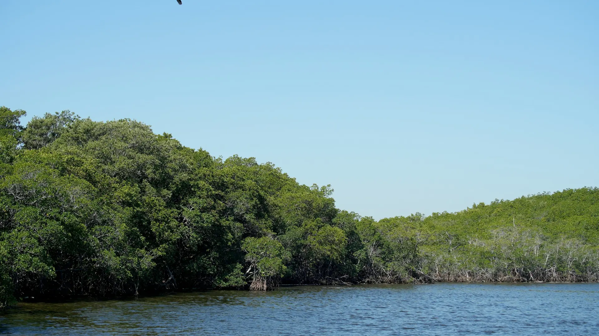 Mangrove islands and blue water in Biscayne National Park.