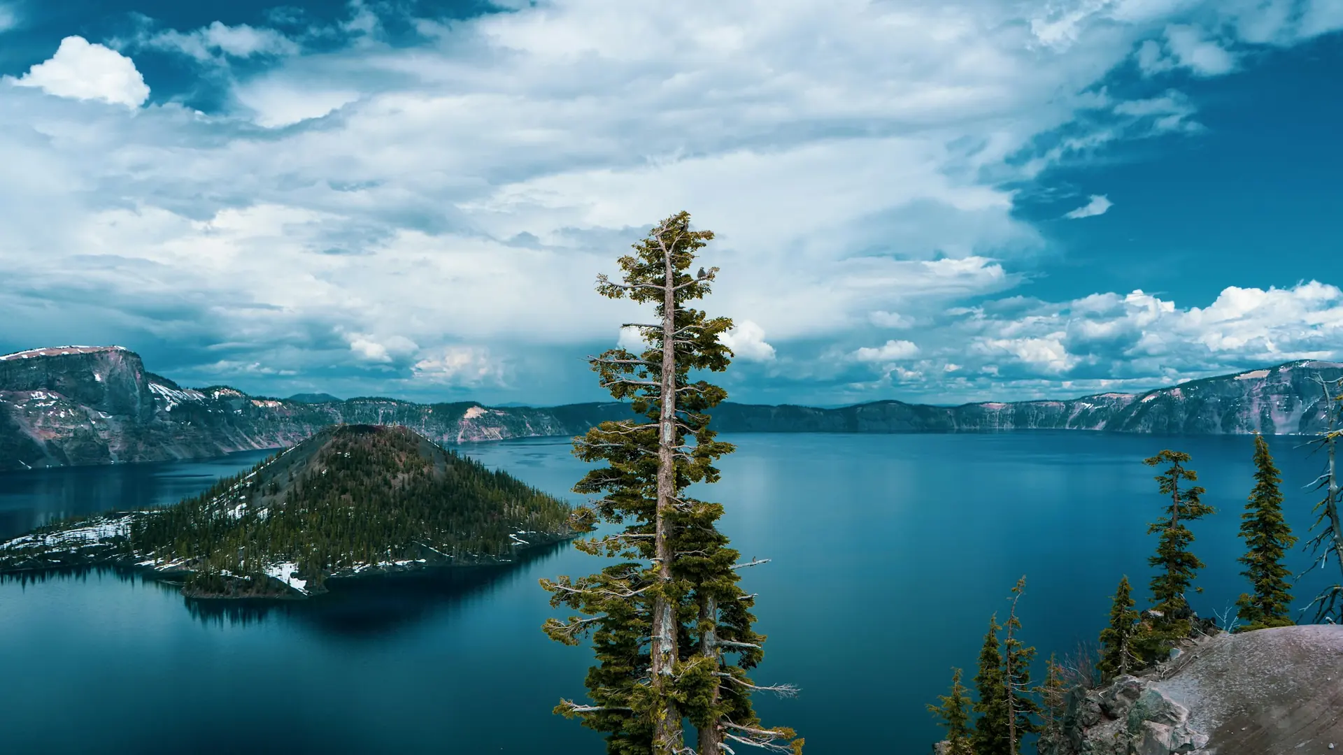 A view of a large body of water from a hill