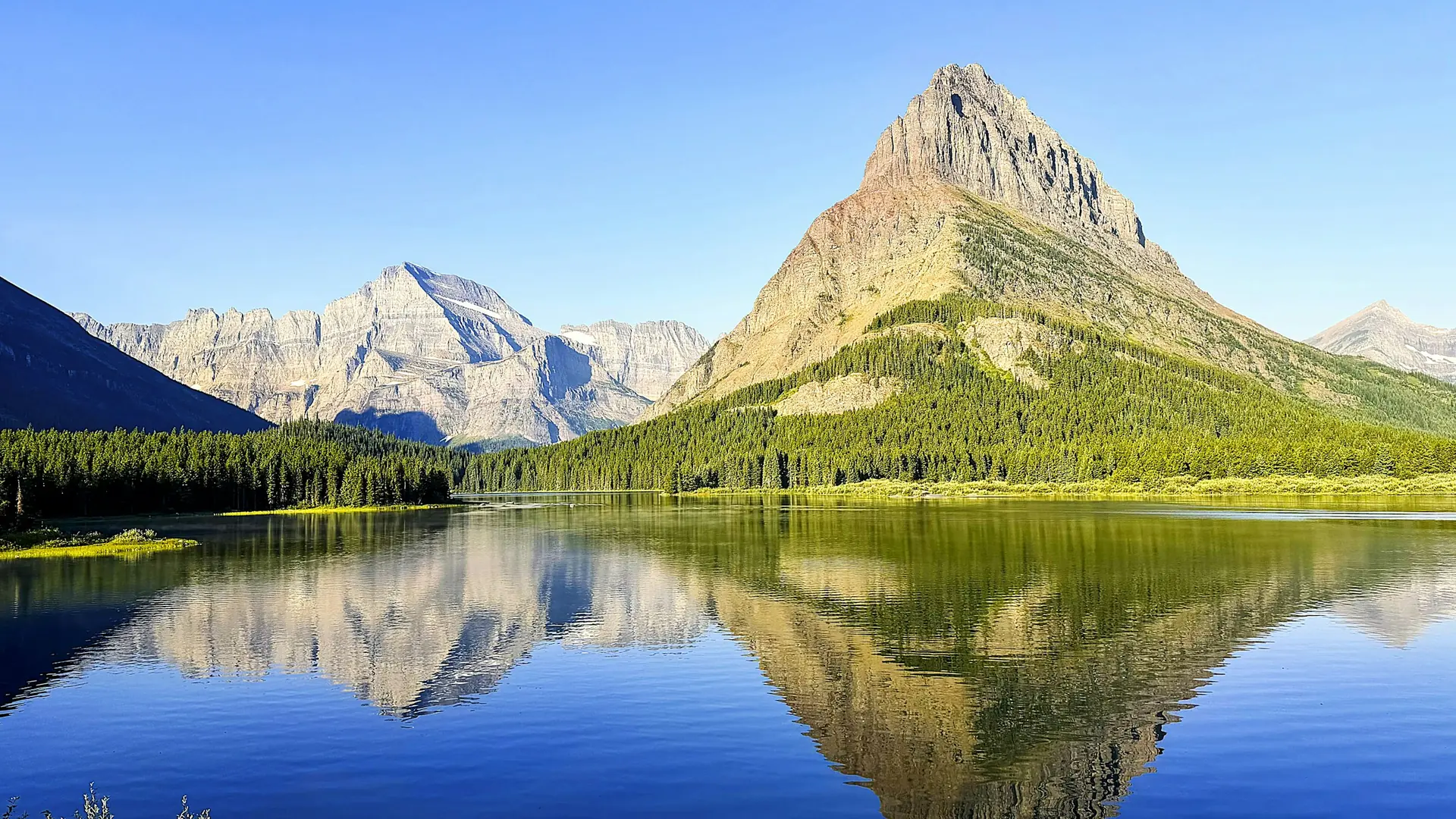 A mountain reflecting in a calm lake with a dense pine forest