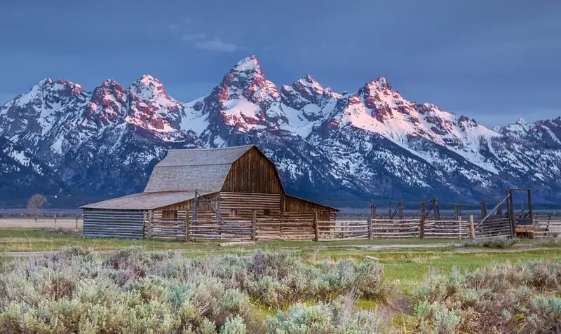 A wooden barn with snowy peaks in the background and green vegetation in the foreground
