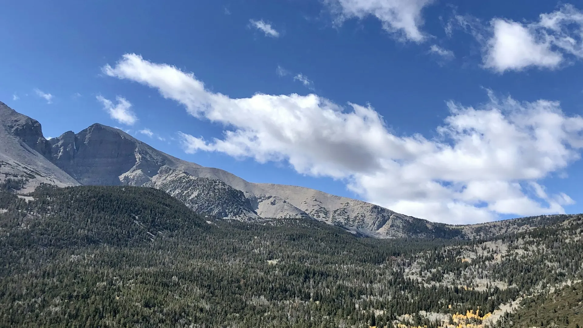 Wheeler Peak rises above forest beneath a cloud-streaked sky in Great Basin National Park.