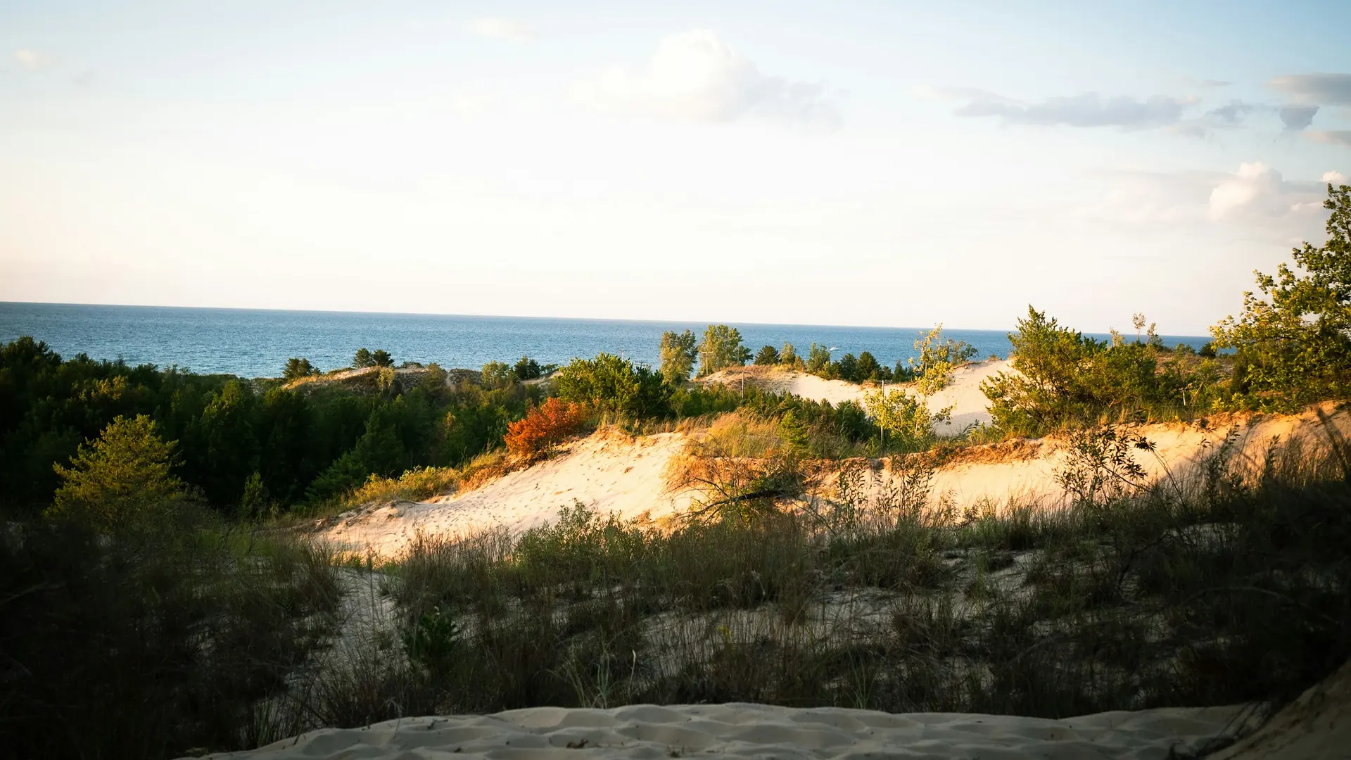 Sunlit dunes and grasses above Lake Michigan in Indiana Dunes National Park.