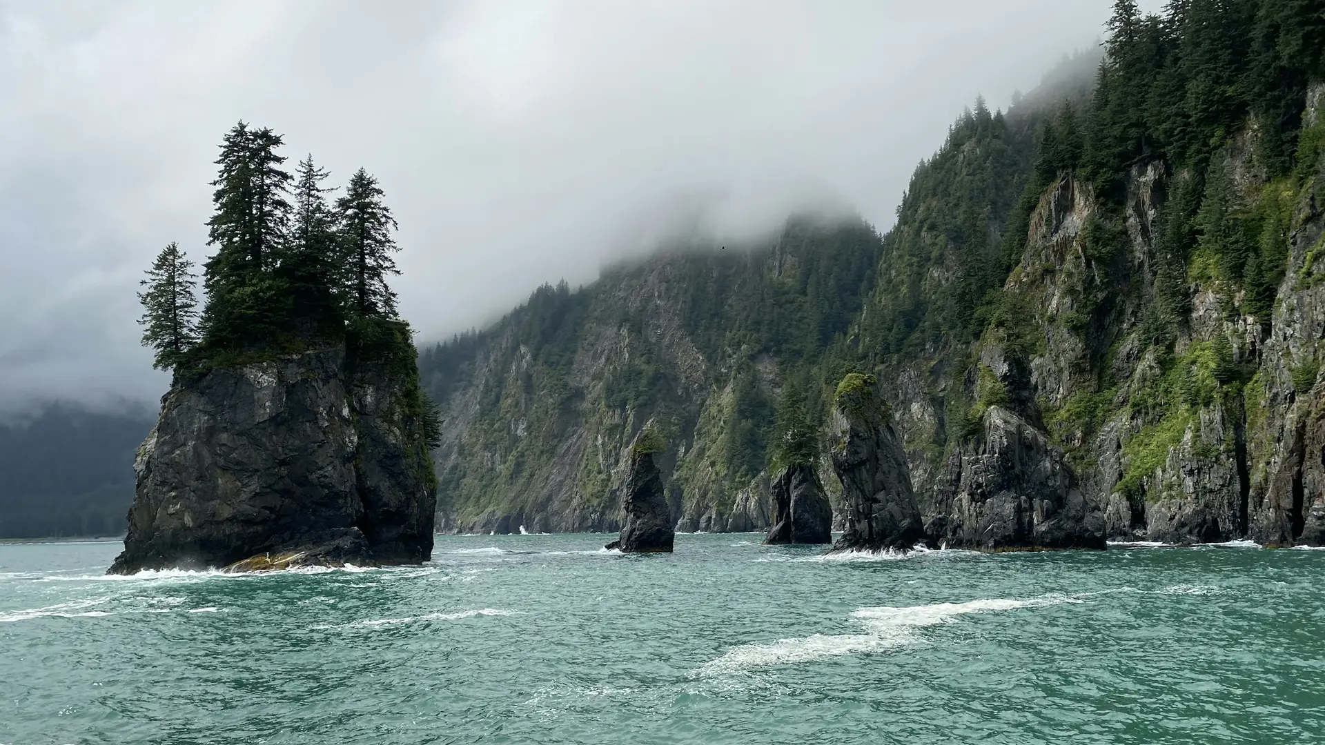 Jagged coastal cliffs with evergreen trees and ocean waves