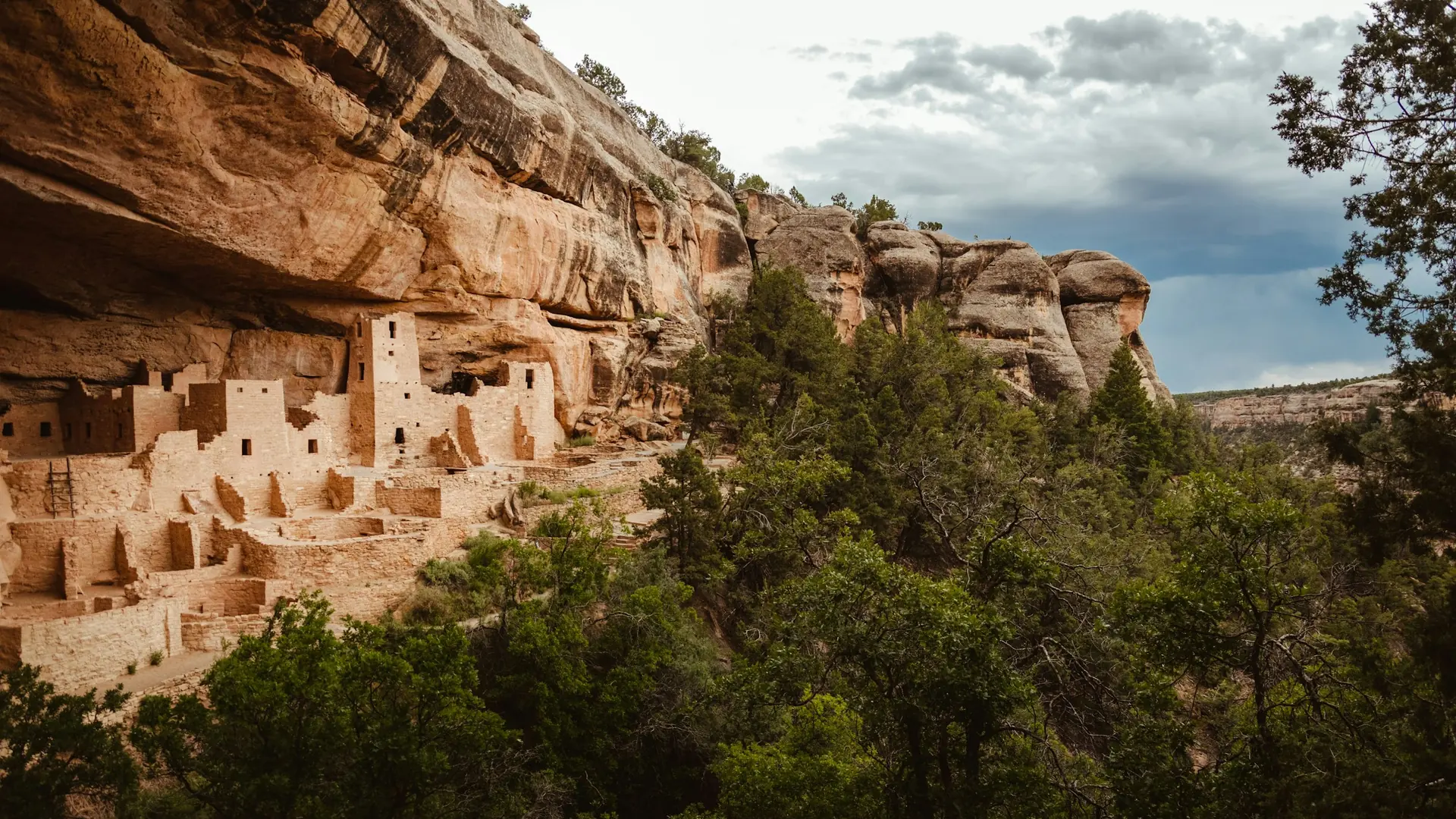 Green trees on brown rocky mountain during daytime