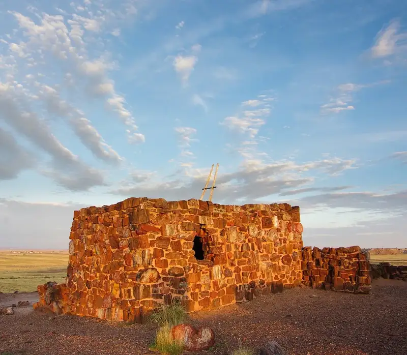 Sunlight highlights the colorful petrified wood of Agate House