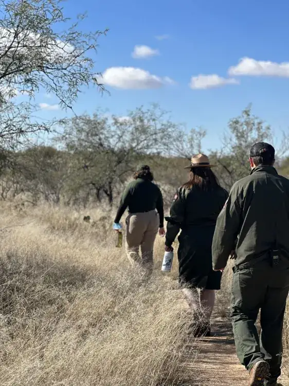 Three rangers hike along a trail in the Rincon Mountain District