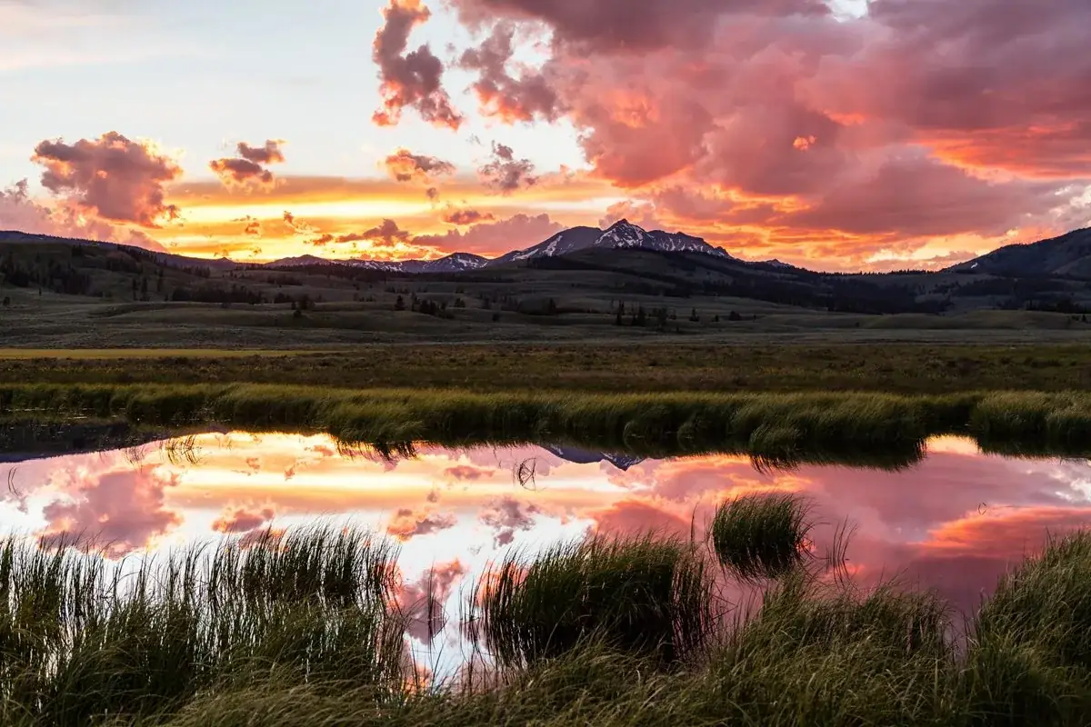 Yellowstone National Park scenery