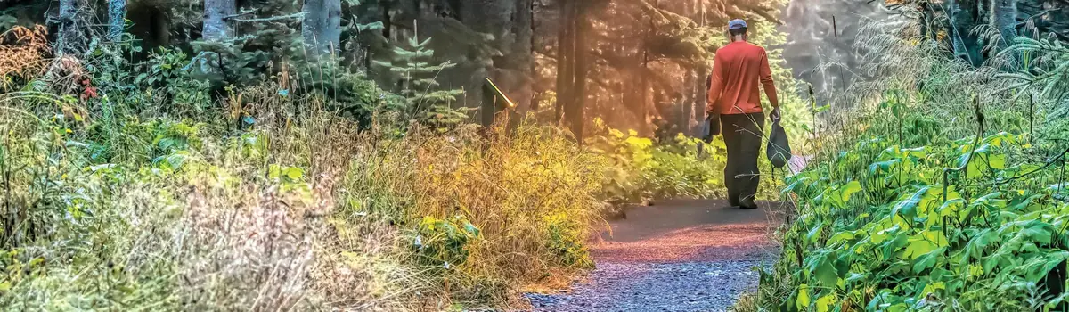 Isle Royale National Park landscape