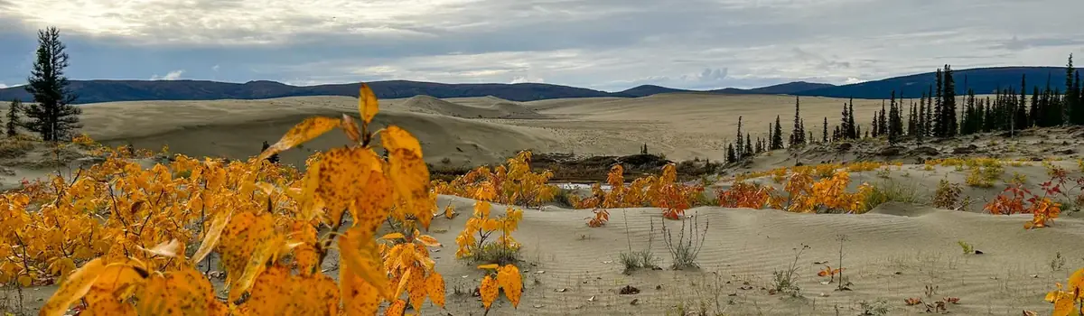 Kobuk Valley National Park landscape